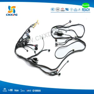 Wire Harness Customized for Automoble Equipment